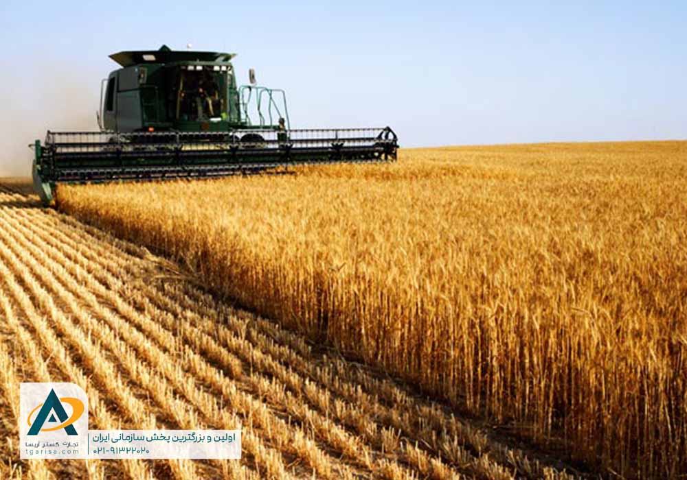 طرح کشت نو بانک تجارت